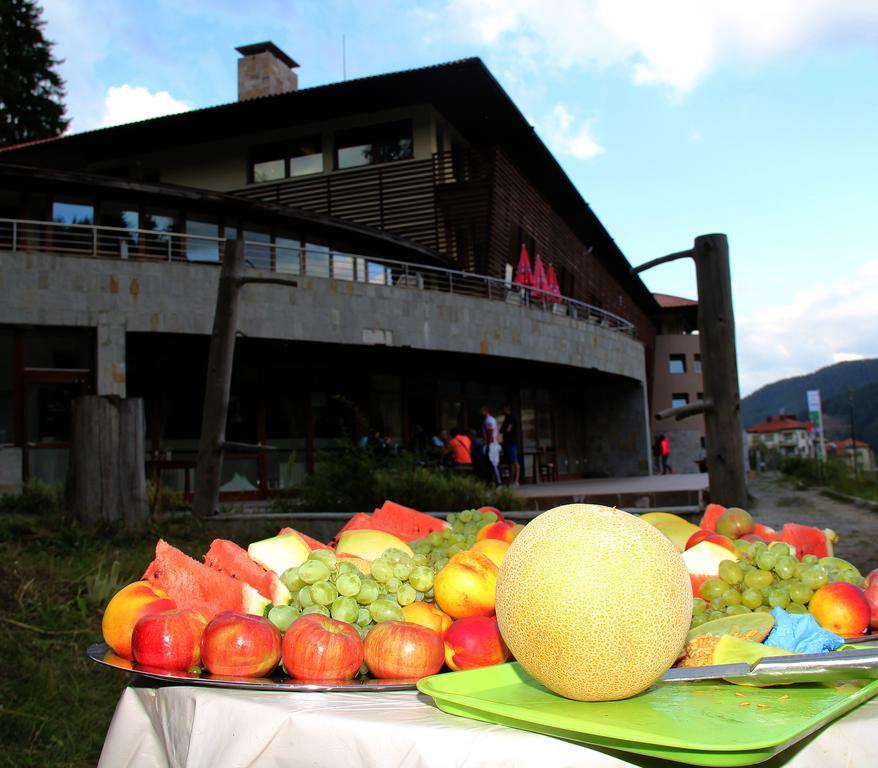 Borika Hotel Chepelare Εξωτερικό φωτογραφία
